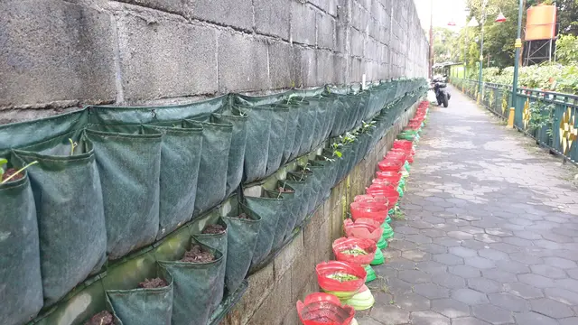 Dari Gang Sempit Jadi Kebun Sayur, Kelompok Tani Timoho Ngeremboko Rasakan Manfaat BRInita