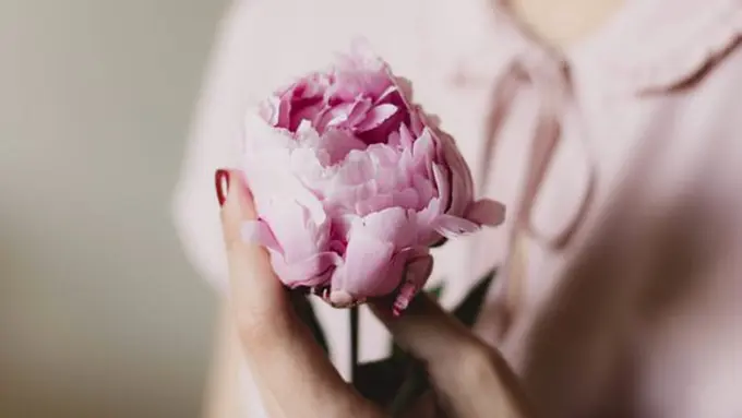 Copyright: pexels.com