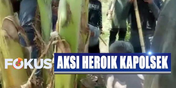 Viral Aksi Heroik Kapolsek di Pinrang Selamatkan Warga dari Amuk Massa