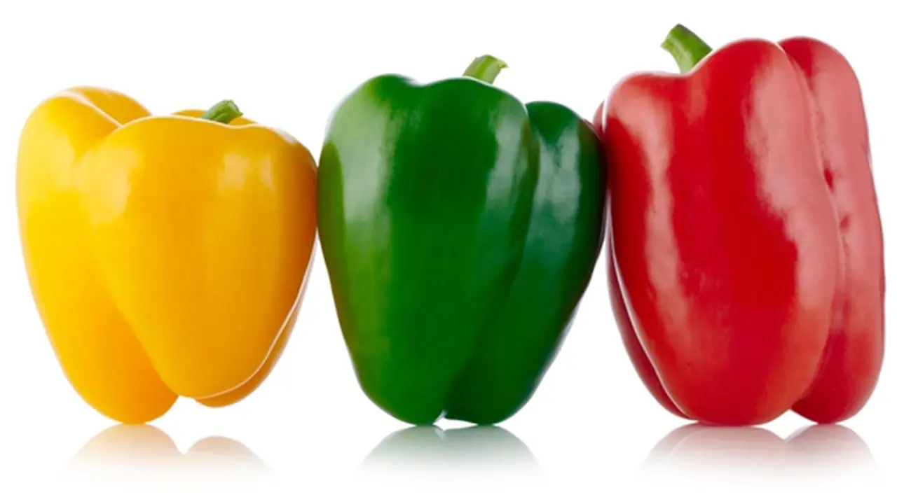 Courtesy ShutterStock.com