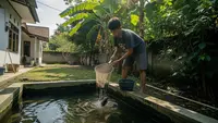 9 Ide Ternak di Pekarangan Belakang Rumah 2x2 Meter dengan Perawatan Super Simpel