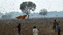 Anak-anak berusaha menghindari serbuan belalang di Distrik Okara, Provinsi Punjab, Pakistan timur (15/2/2020). Serangan belalang terhadap tanaman telah menyebabkan kerugian finansial yang besar bagi para petani di beberapa wilayah negara tersebut. (Xinhua/Str)