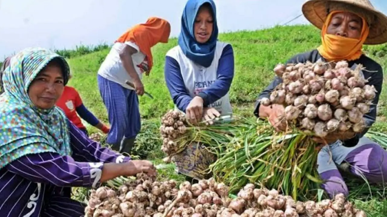Kementan