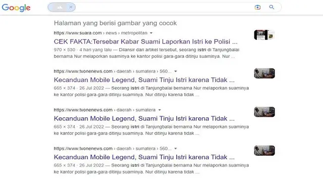 Gambar Tangkapan Layar Penelusuran Foto Menggunakan Google Images.