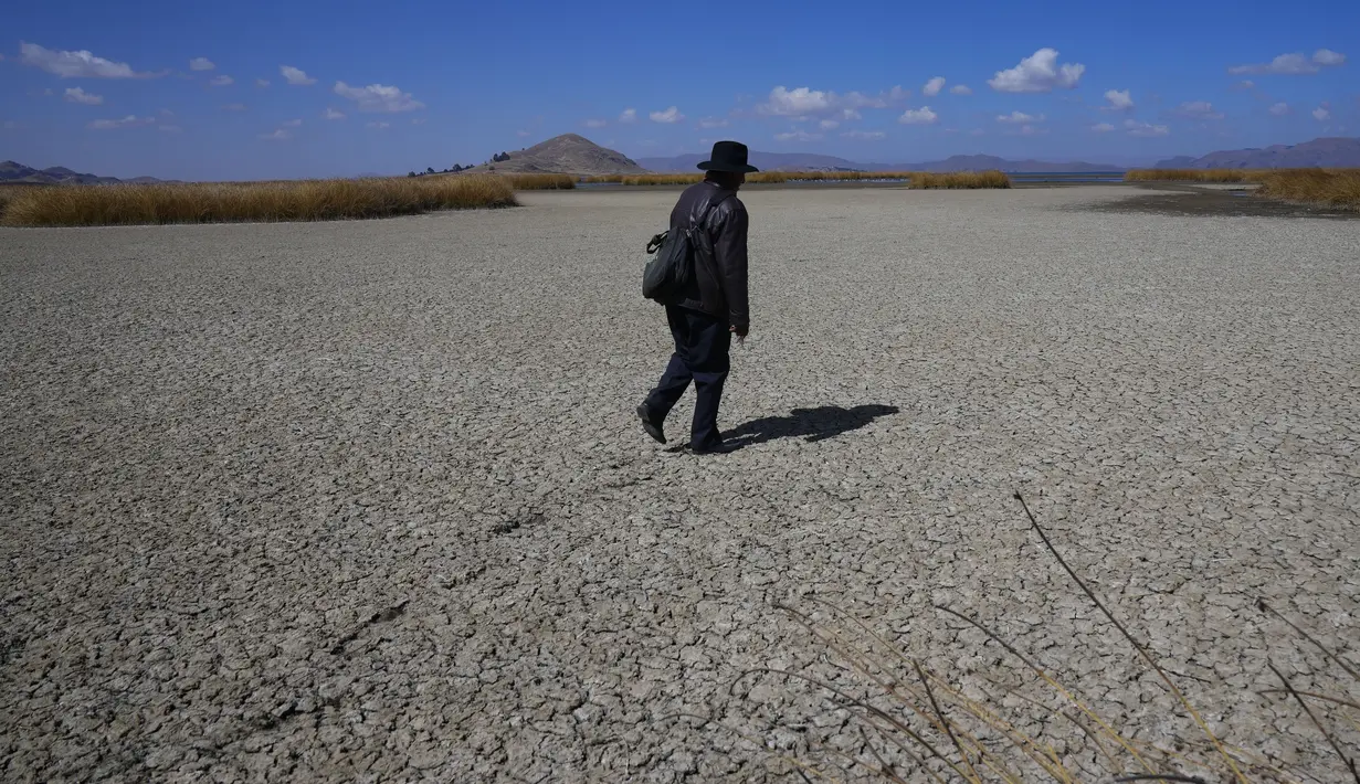 Seorang lelaki Aymara berjalan di dasar Danau Titicaca yang kering retak, di Huarina, Bolivia, Kamis, 27 Juli 2023. (AP Photo/Juan Karita)