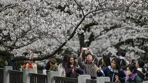 Bukan Cuma Sakura, Ini Alasan Orang Indonesia Tak Bosan Liburan ke Jepang