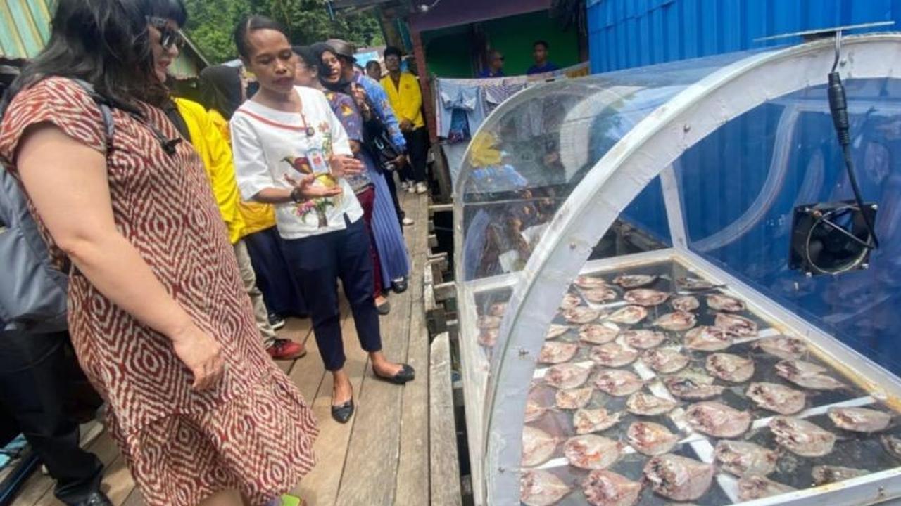 Teknologi Surya Angkat Nilai Ikan Papua, Solusi Inovatif Nelayan Pulau Kosong