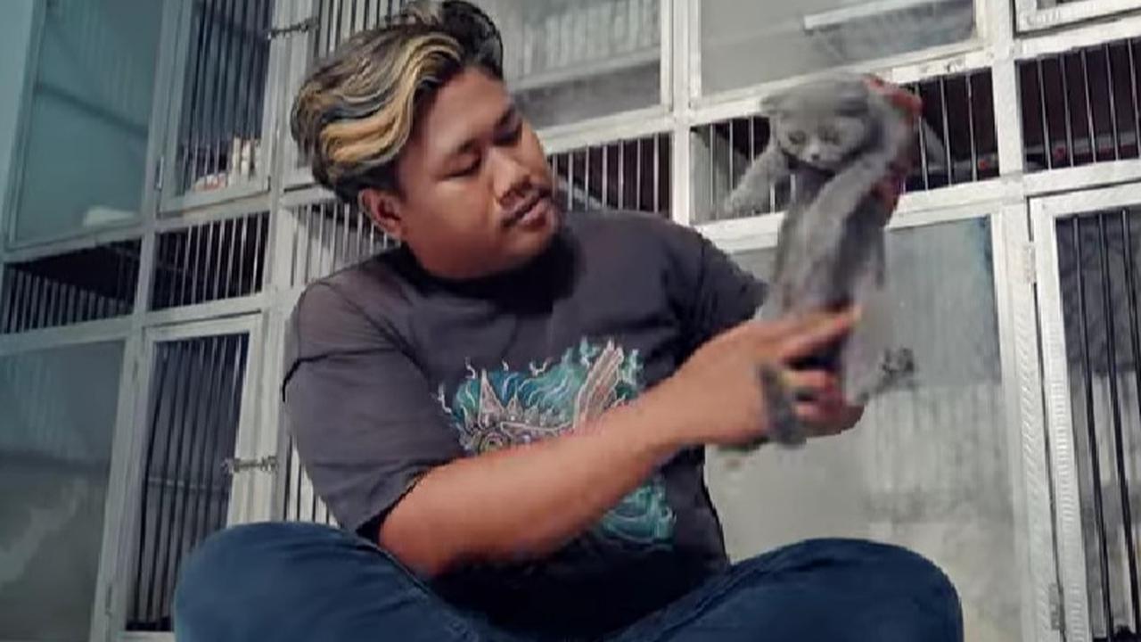 Cuan
