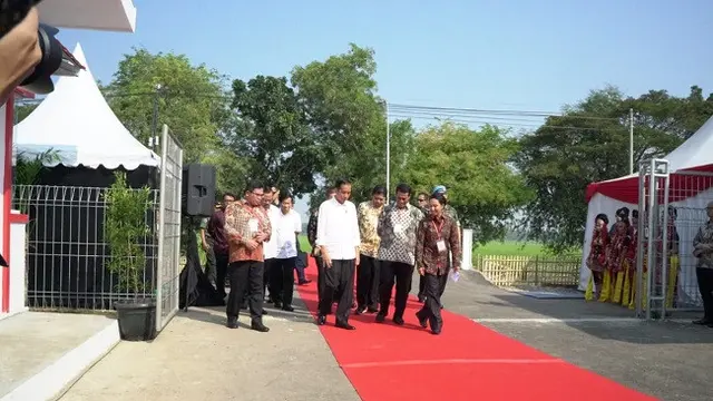 Presiden Joko Widodo (Jokowi) (Dok Foto: Merdeka.com/Siti Nur Azzura)
