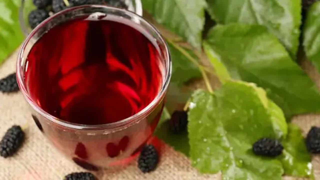 Resep Rebusan Daun untuk Kolesterol dan Darah Tinggi, Rahasia Herbal Tradisional