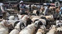 Pedagang menggiring domba yang akan dijual di Pasar Hewan Jonggol, Kabupaten Bogor, Jawa Barat, Kamis (7/7/2022). Menurut pengelola penjualan hewan kurban di Pasar Hewan Jonggol mengalami penurunan dibandingkan tahun sebelumnya akibat dampak dari wabah virus penyakit mulut dan kuku (PMK). (merdeka.com/Iqbal S Nugroho)