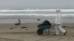 Seorang pekerja kota membawa pelikan mati dengan gerobak dorong di pantai Santa Maria di Lima, Peru, Selasa (29/11/2022). Setidaknya 13.000 pelikan telah mati sejauh ini pada bulan November di Sepanjang Pantai Pasifik Peru akibat flu burung, menurut The National Forest and Wildlife Service (Serfor) pada hari Selasa. (AP Photo/Guadalupe Pardo)