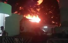 Kebakaran Museum Nasional, Empat Ruangan Penyimpanan Benda Prasejarah Terbakar