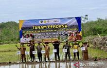 Optimalkan Lahan Tidur, Program Cetak Sawah Rakyat Tabalong Dukung Swasembada Pangan Nasional