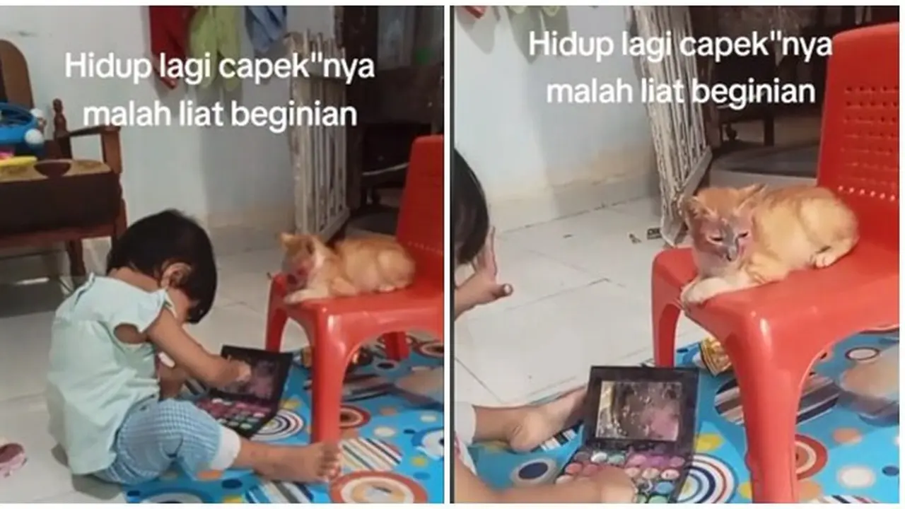 Momen Kucing Didandani Anak Kecil Ini Bikin Gemas, Pasrah Banget