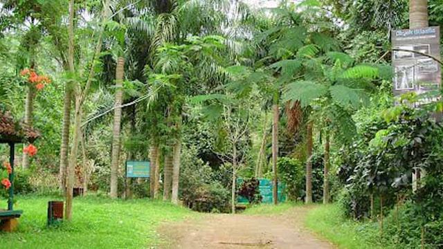 Genjot Wisata Lampung Gelar Festival Taman Hutan Raya