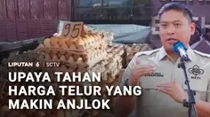 Upaya Tahan Harga Telur yang Makin Anjlok