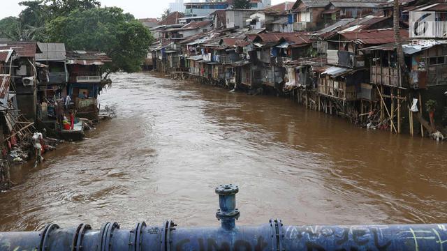 Penampakan Bantaran Ciliwung yang akan Dinormalisasi Pemprov DKI Jakarta