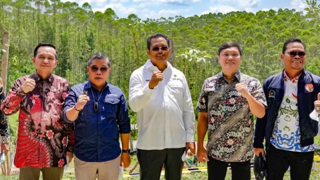 Perbatasan Kaltara