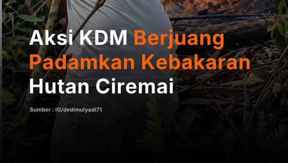 Aksi KDM Berjuang Padamkan Kebakaran Hutan Ciremai