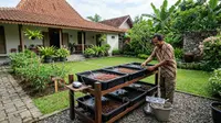 Cara Budidaya Cacing Sutra untuk Pemula, Mulai dari Media hingga Waktu Panen