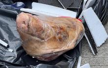 Kiriman Kepala Babi dan Bangkai Tikus ke Tempo, Harusnya Negara Tersinggung dan Marah Soal Ini