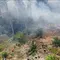 Penerjun Freefall Dikerahkan Tangani Kebakaran Hutan Riau