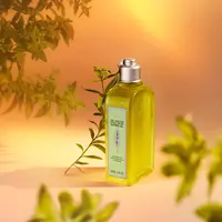 Berbahan dasar alami yang fresh yaitu daun mint, L'Occitane luncurkan rangkaian produk body care terbarunya. (Dok/L'Occitane).
