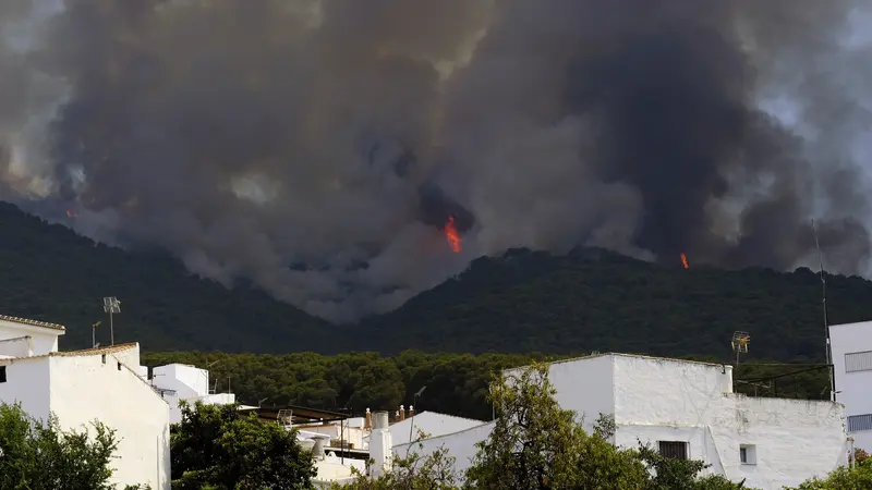 Kebakaran Hutan Terus Meluas ke Seluruh Spanyol