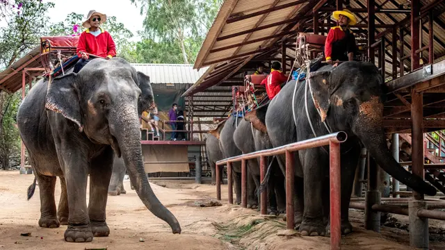 Wisata di Pattaya Sepi