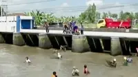 Ratusan warga Tulungagung berebut mencari ikan mabuk di sungai setempat.