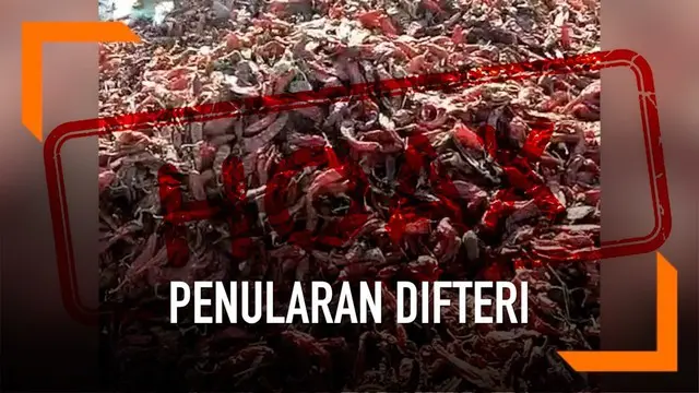 VIDEO: [CEK FAKTA] Viral Penularan Difteri dari Cabai Kering