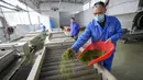 Aktivitas pekerja di sebuah pabrik teh di Chongqing, China, Minggu (23/2/2020). Melalui peningkatan upaya pengendalian epidemi virus corona atau COVID-19, pabrik teh di China mulai melanjutkan kegiatan produksi pada awal musim semi ketika pucuk daun teh mulai terlihat. (Xinhua/Liu Chan)