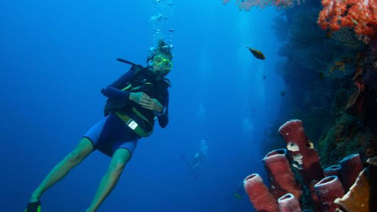 Diving dan Snorkeling
