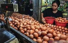Harga Pangan PIHPS Nasional 15 Maret 2026: Telur Ayam dan Bawang Merah Stabil Tinggi