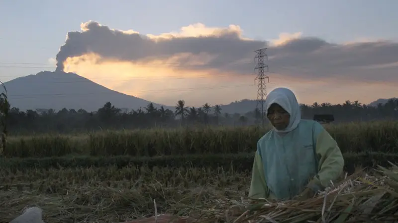 20150712-Awan Panas Gunung Raung Tak Mengusik Aktivitas Warga-Jember 4