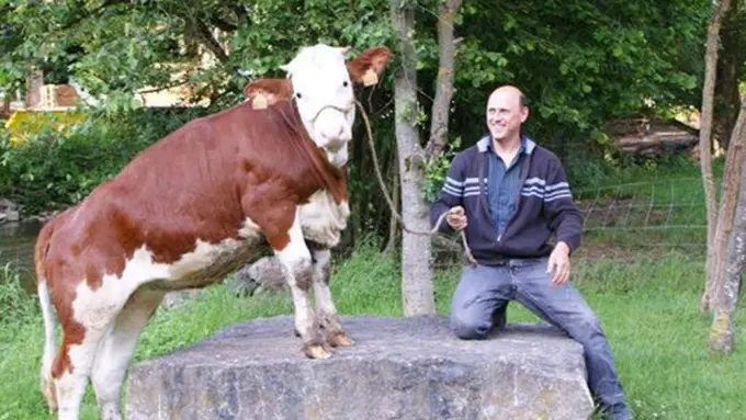 Photo: Copyright odittycentral.com