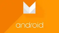 Android M (thenextweb.com)