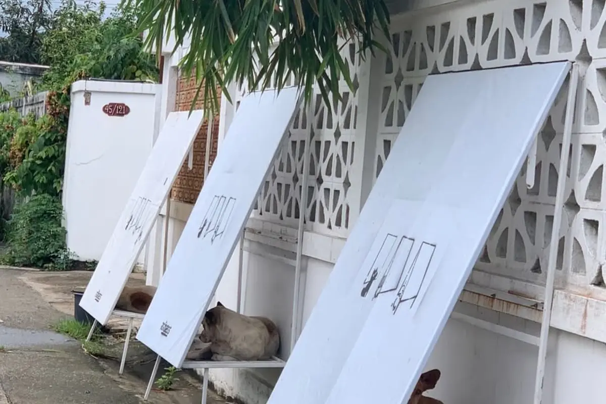 Dari Spanduk Bekas, Komunitas di Thailand Bikin Rumah Lipat untuk Anjing Liar di Thailand