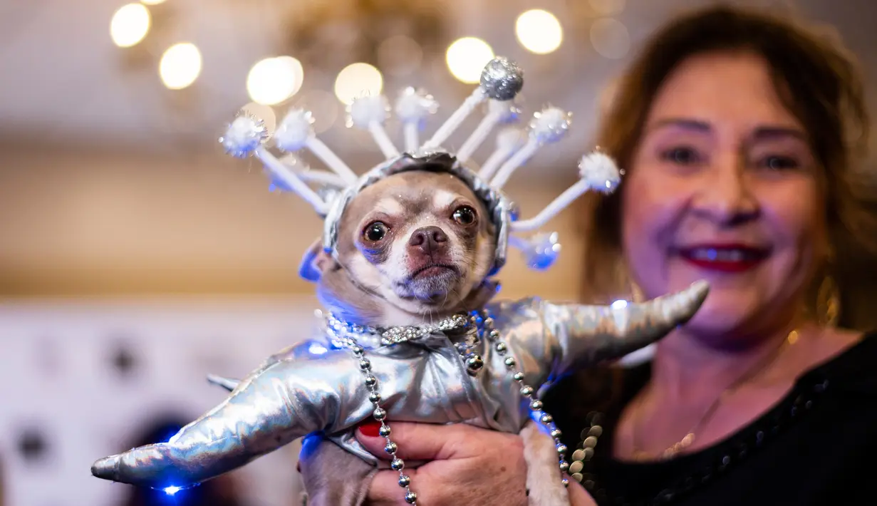 Pemilik berpose dengan anjingnya yang didandani untuk sebuah pertunjukan pada New York Pet Fashion Show ke-17 di New York City, Kamis (6/2/2020). Acara ini menampilkan pertunjukan anjing yang berjalan di catwalk dengan kostum yang unik. (Photo by Johannes EISELE / AFP)