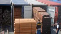 Sejumlah petugas Customs KPP Bea Cukai Tipe Madya Pabean Tanjung Perak, memeriksa tumpukan kayu gergajian ilegal di gudang kontainer kawasan Kalianak Surabaya. (Antara)