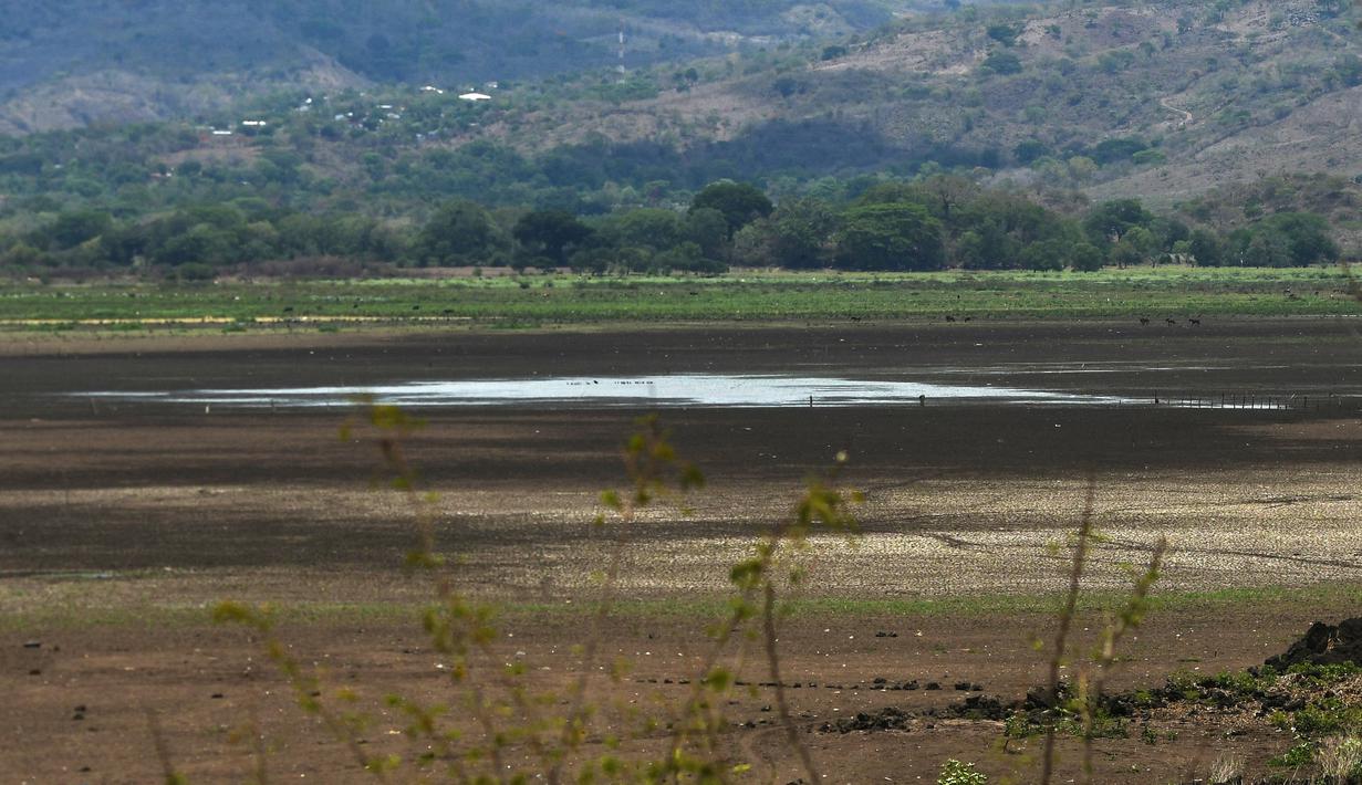Pemandangan Danau Atescatempa yang telah mengering, Guatemala, Jumat (5/5). Keringnya Danau Atescatempa disebabkan oleh dampak perubahan iklim di Amerika Tengah yang disebut "Koridor Kering". (AFP PHOTO / Marvin RECINOS)
