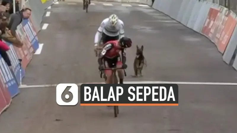 vertical balap sepeda