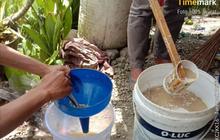 Dari Lembah Tengkorak Menuju Hijau: Petani Muda Solok Gagas Pertanian Ramah Lingkungan, Ini Upayanya!