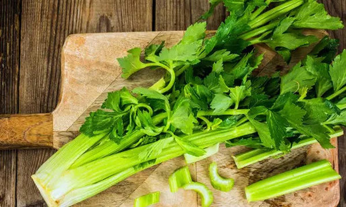 Cara Merebus Daun Seledri untuk Darah Tinggi, Wajib Diketahui agar Manfaatnya Maksimal bagi Tubuh