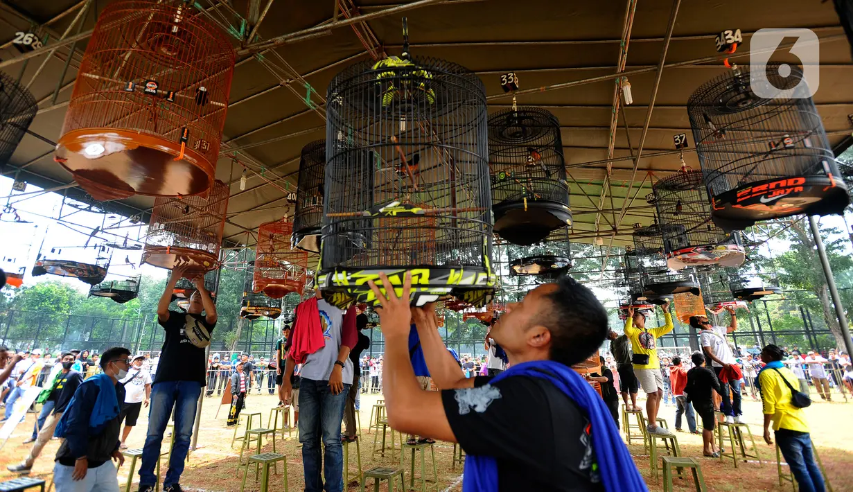 Warga mengikuti Lomba Kicau Burung Pra Piala Gubernur di Lapangan Banteng, Jakarta, Minggu (7/8/20222). Kegiatan ini dalam rangka memeriahkan Jakarta Hajatan ke-495 tahun dan hari kemerdekaan Republik Indonesia ke-77 tahun. (merdeka.com/Arie Basuki)