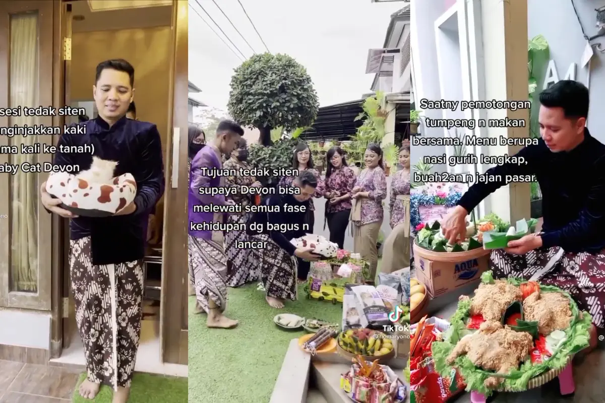 Upacara Tedak Siten untuk Bayi Kucing Devon (Sumber: TikTok @riomaryono)