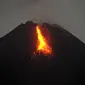 Gunung Merapi mengeluarkan lava pijar yang teramati dari Yogyakarta (7/1/2021).  Jarak luncur maksimumnya 800 meter ke arah kali Krasak. (AFP/Agung Supriyanto)