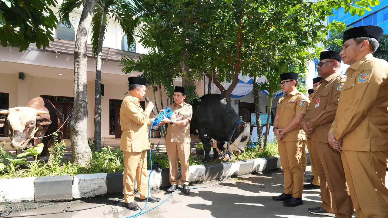 Mendagri Muhammad Tito Karnavian menyalurkan secara simbolis ratusan hewan kurban yang dihimpun dari lingkungan Kementerian Dalam Negeri (Kemendagri) serta Badan Nasional Pengelola Perbatasan (BNPP). (Istimewa)