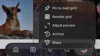 Pengguna Instagram Kini Bisa Ubah Urutan Foto dan Video di Grid Profil, Begini Caranya